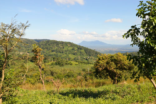 Kouma konda